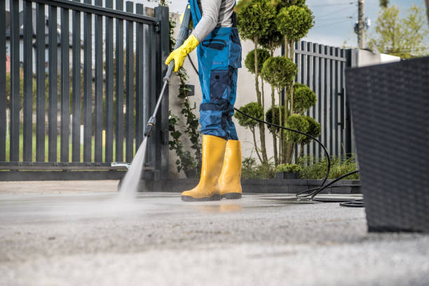 Best Sidewalk and Walkway Cleaning  in Huntland, TN